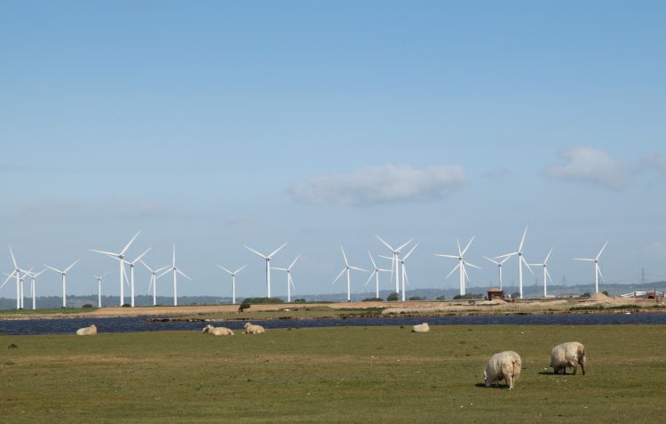 onshore wind farm 2 – TodayHeadline